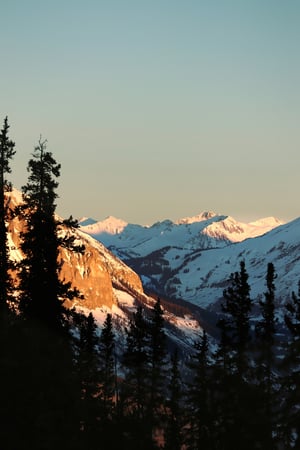 live-kaiah-eMCGVAIj0Dw-unsplash (1)