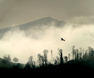 ricardo-gomez-angel-f6Bnsj0ZUgU-unsplash